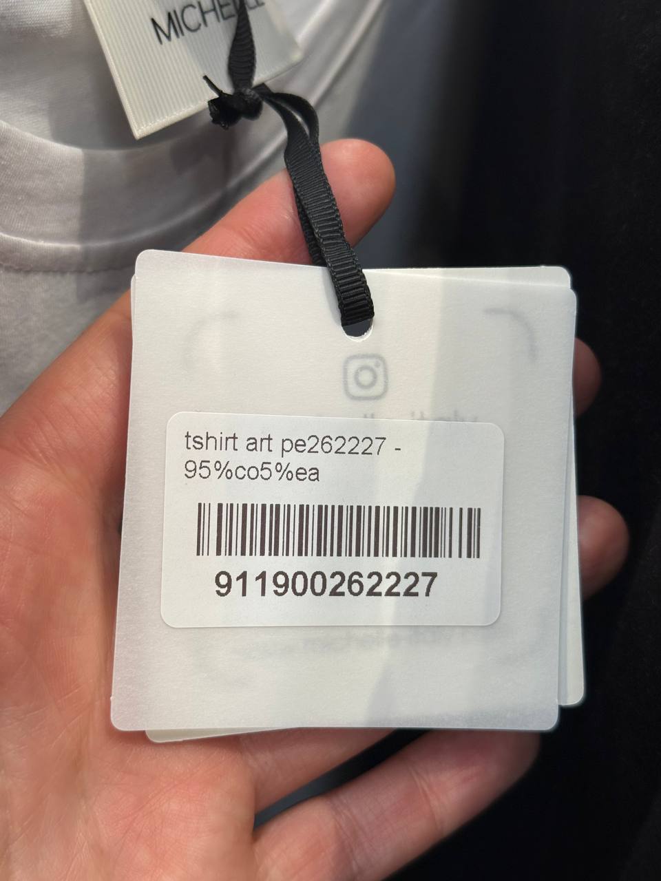 Фото Amelie Follies (Michelle)