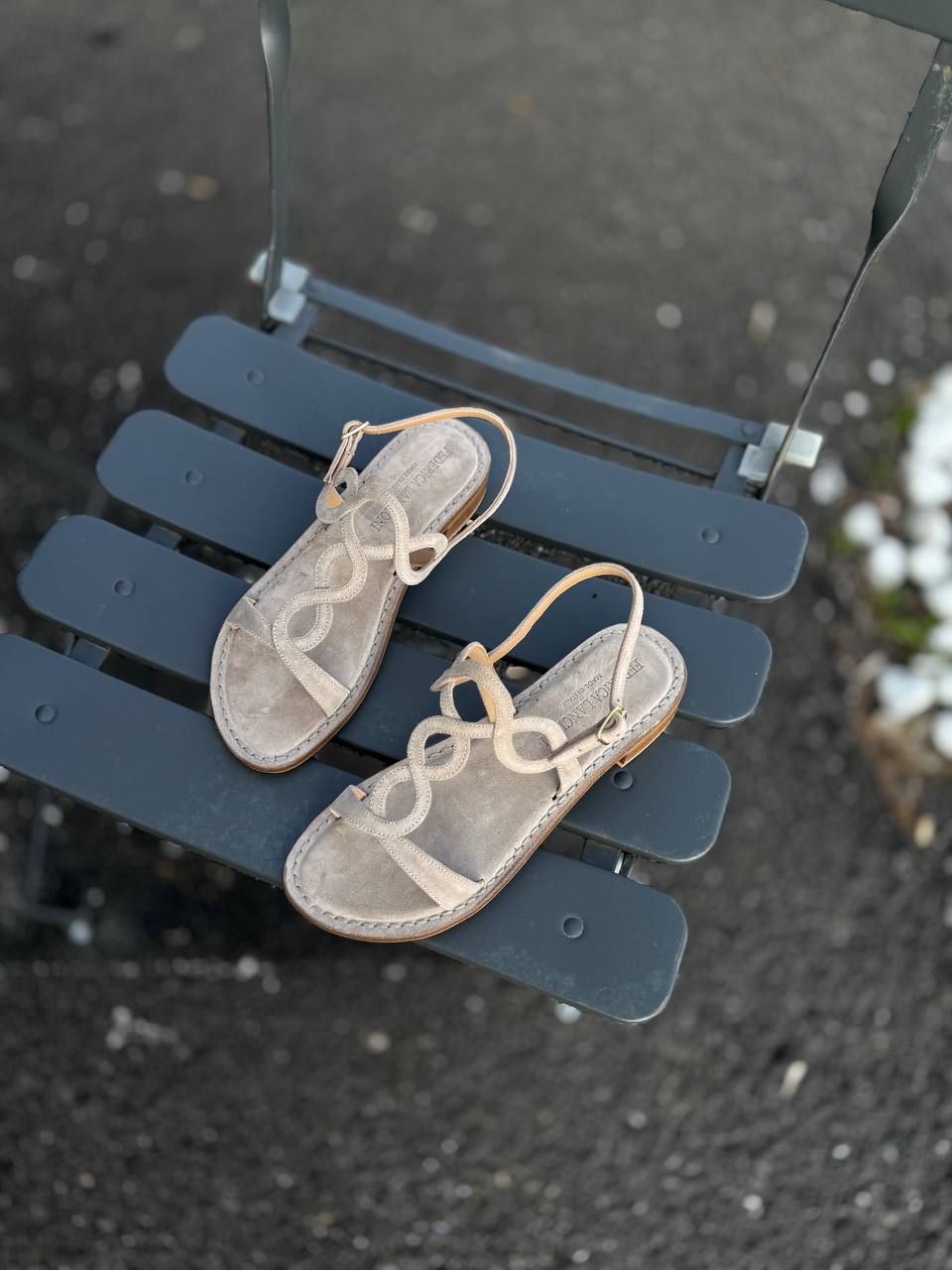 Фото Federica Lancioni