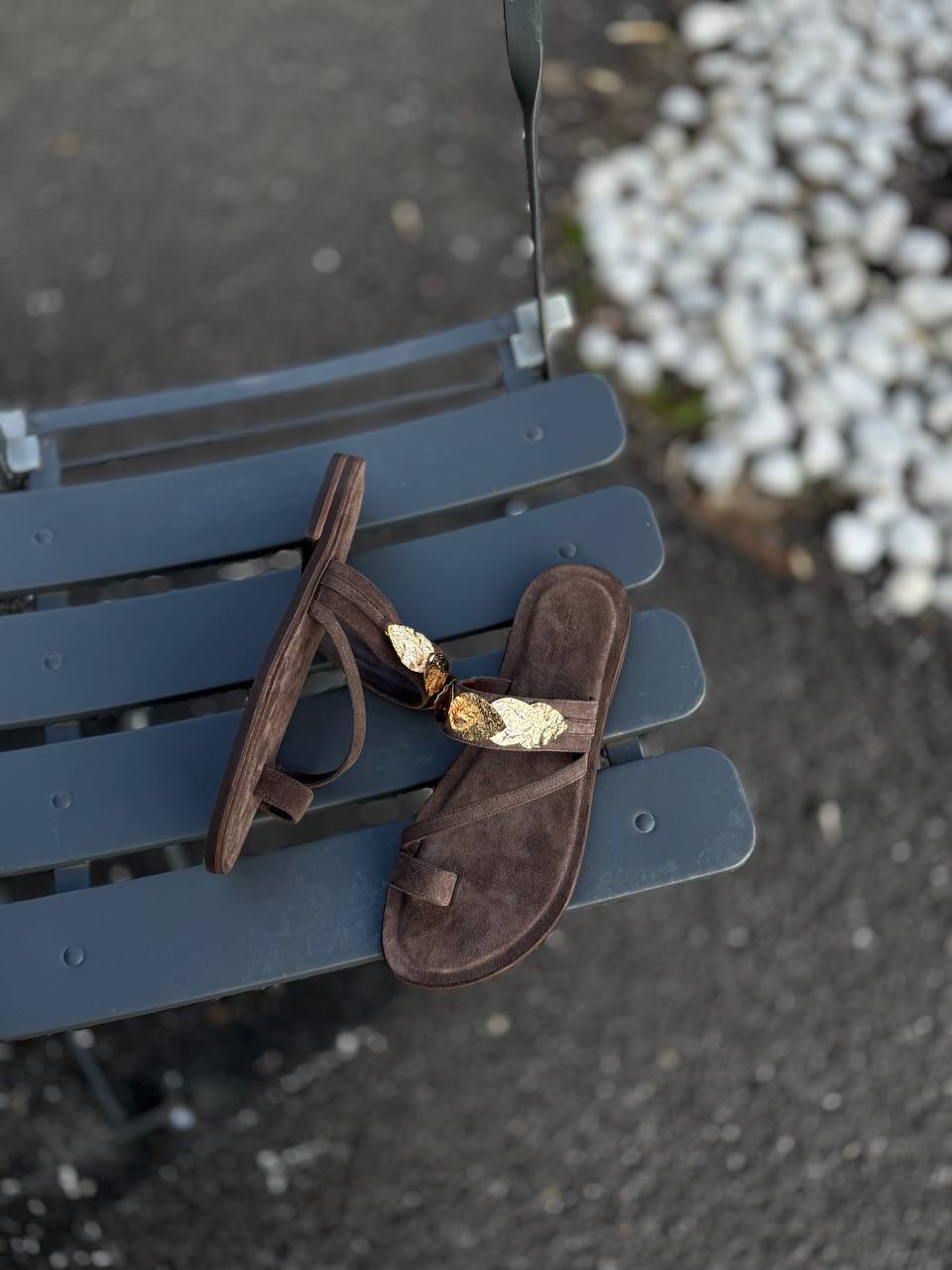 Фото Federica Lancioni