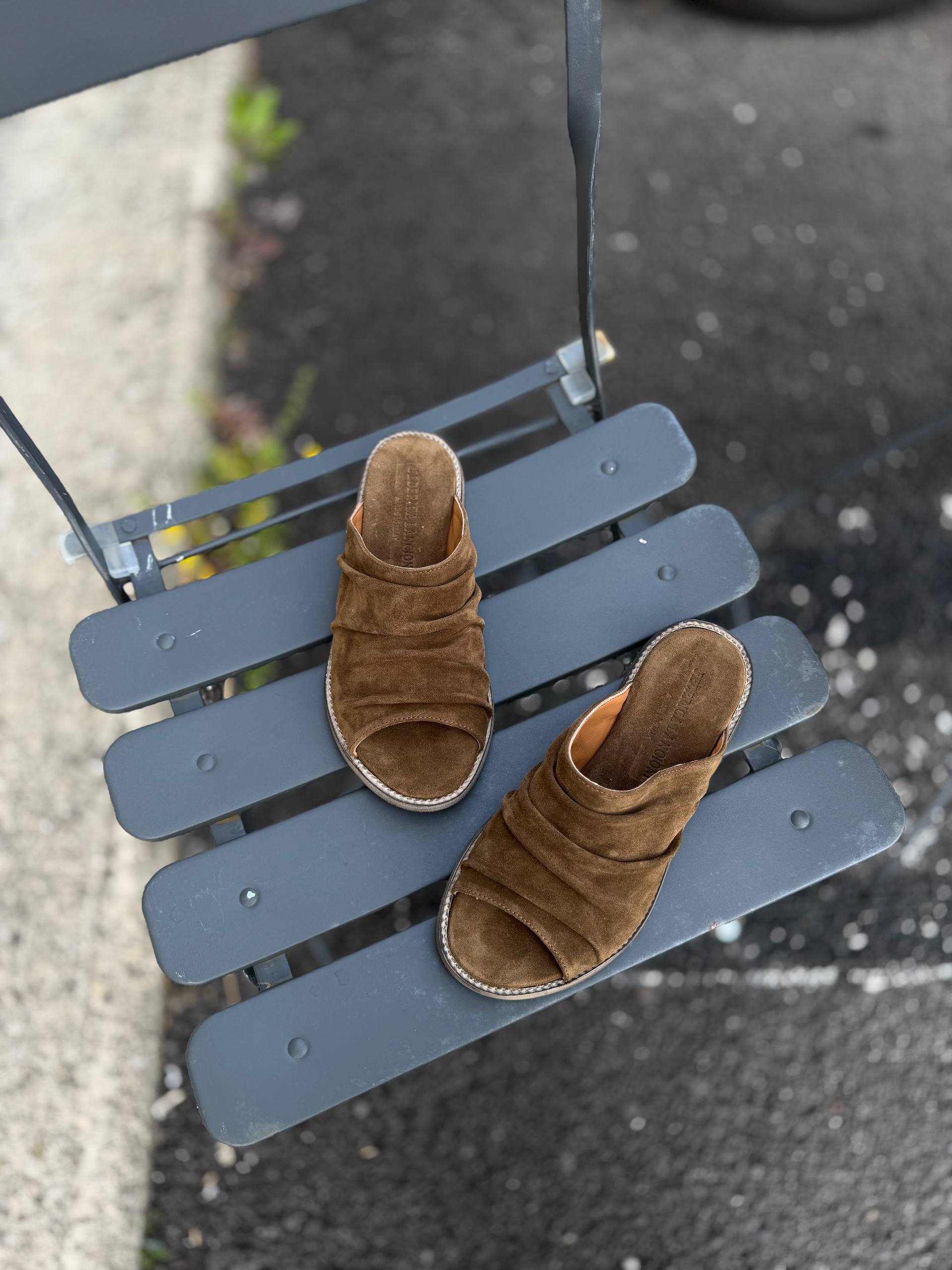 Фото Federica Lancioni