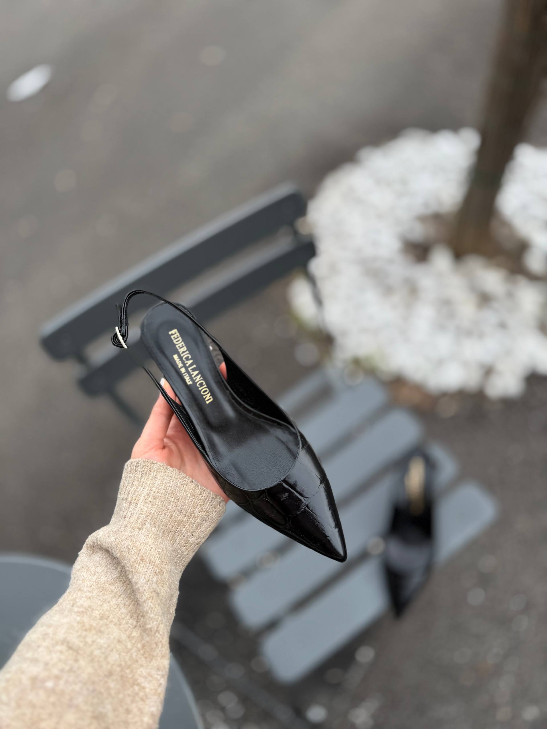 Фото Federica Lancioni