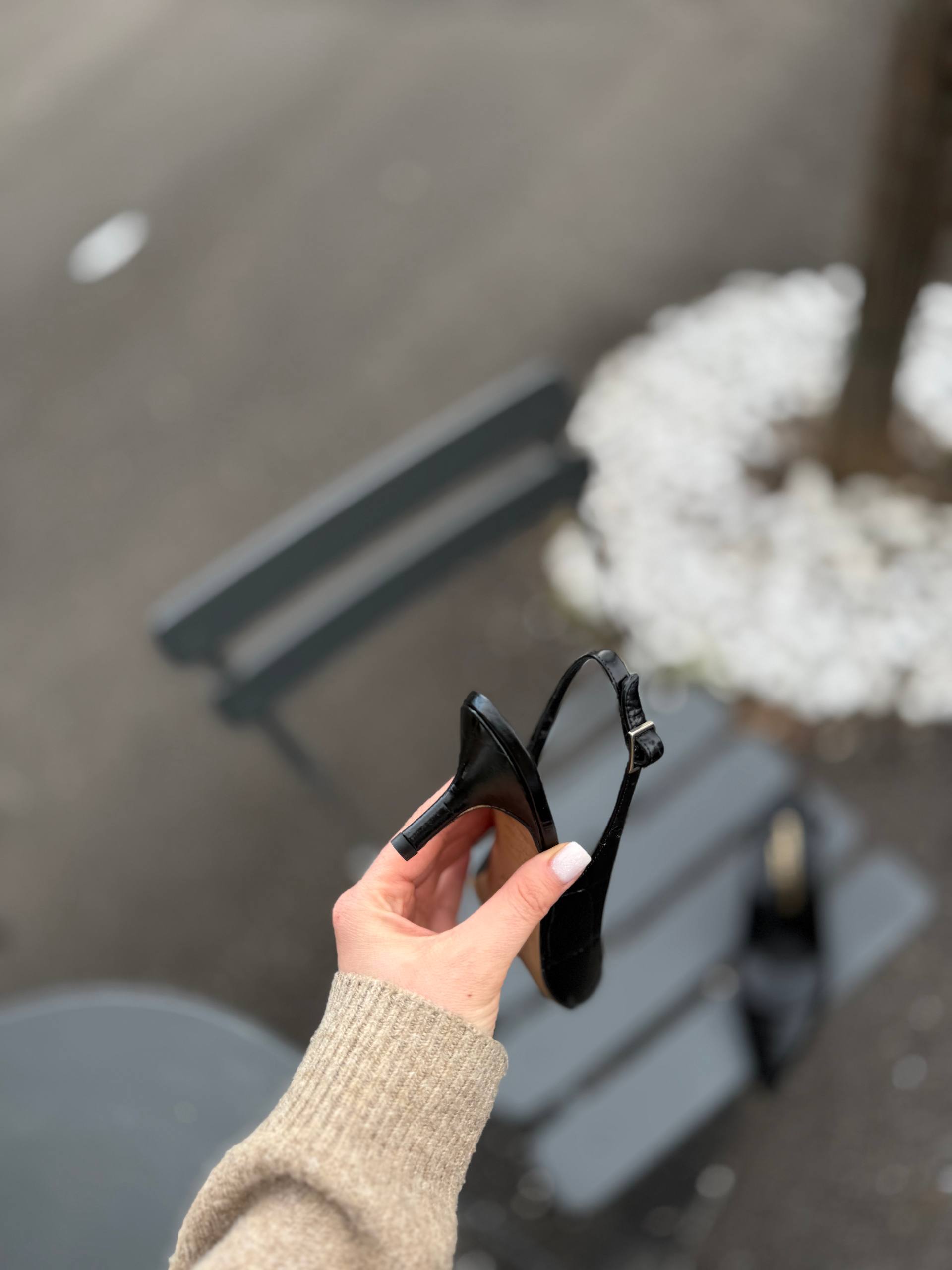 Фото Federica Lancioni