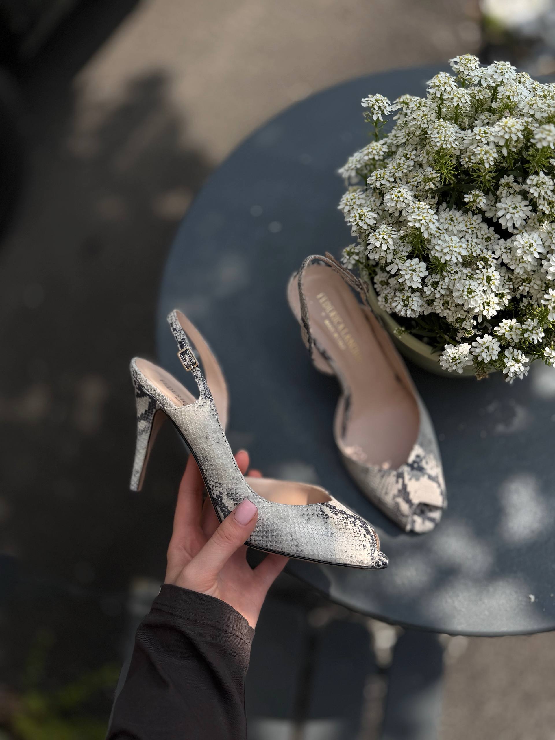 Фото Federica Lancioni