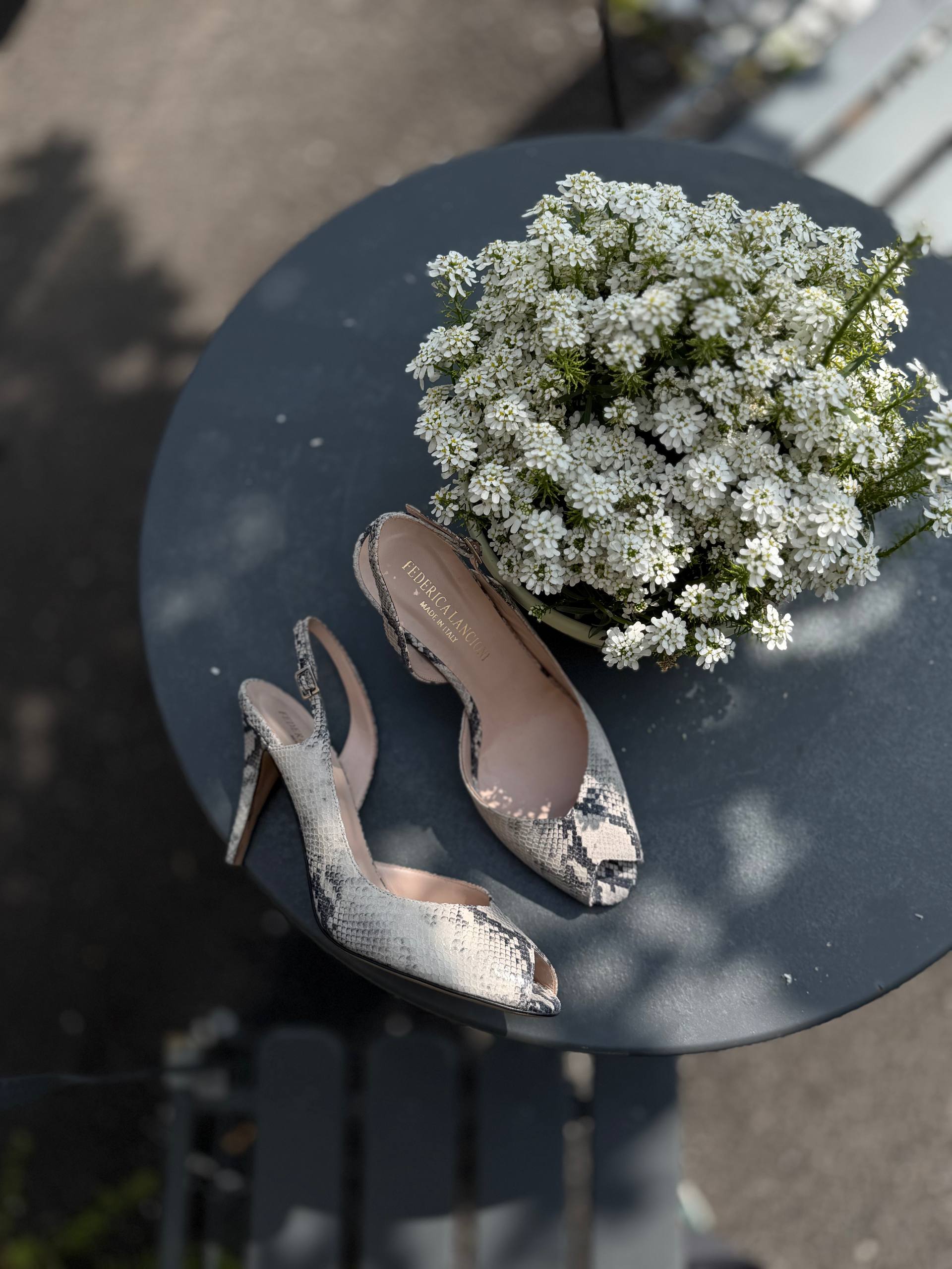 Фото Federica Lancioni