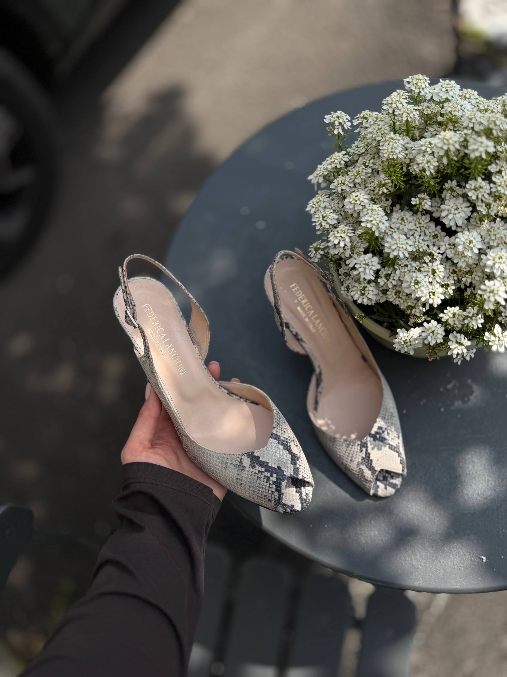 Фото Federica Lancioni