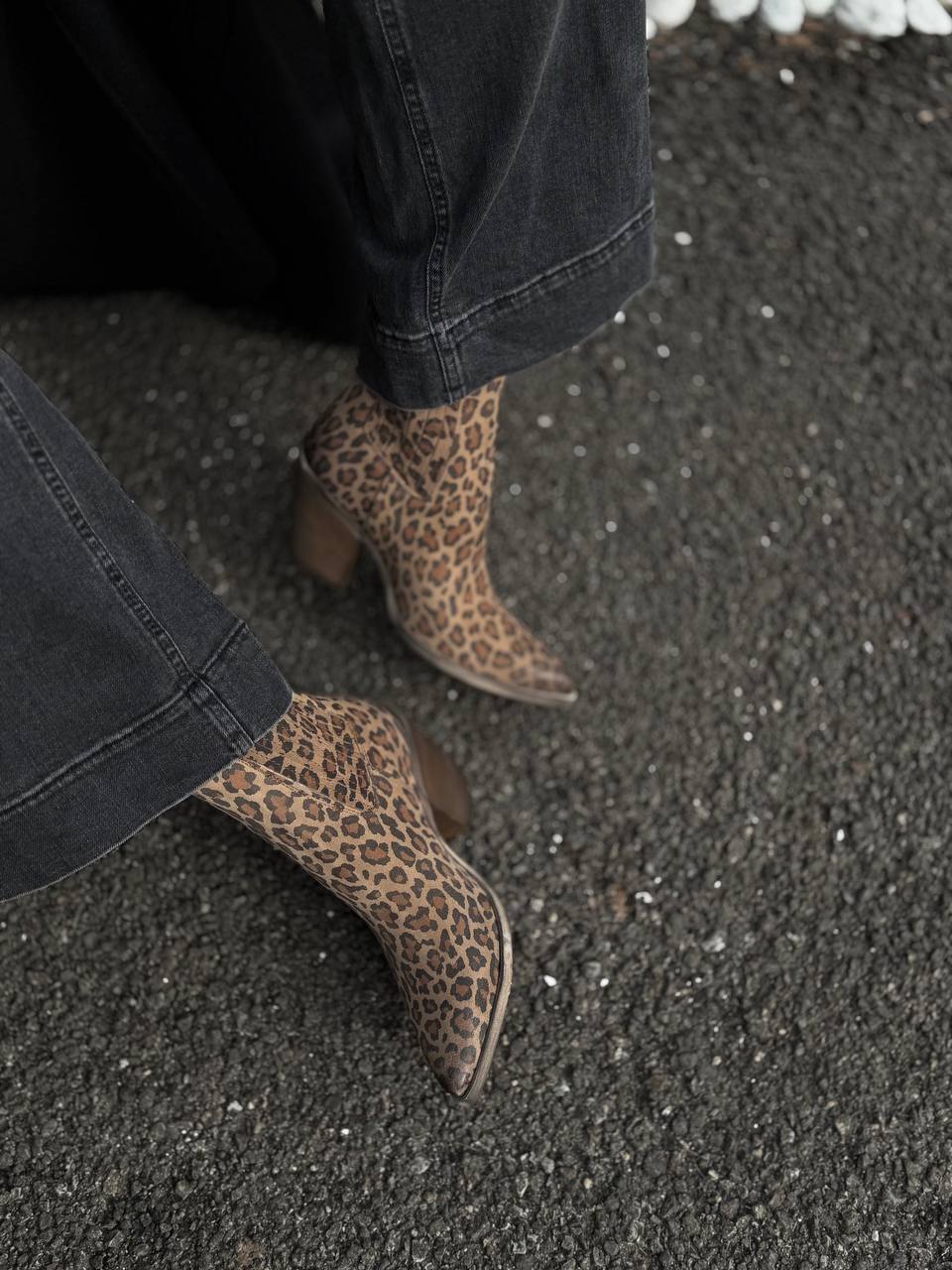 Фото Federica Lancioni