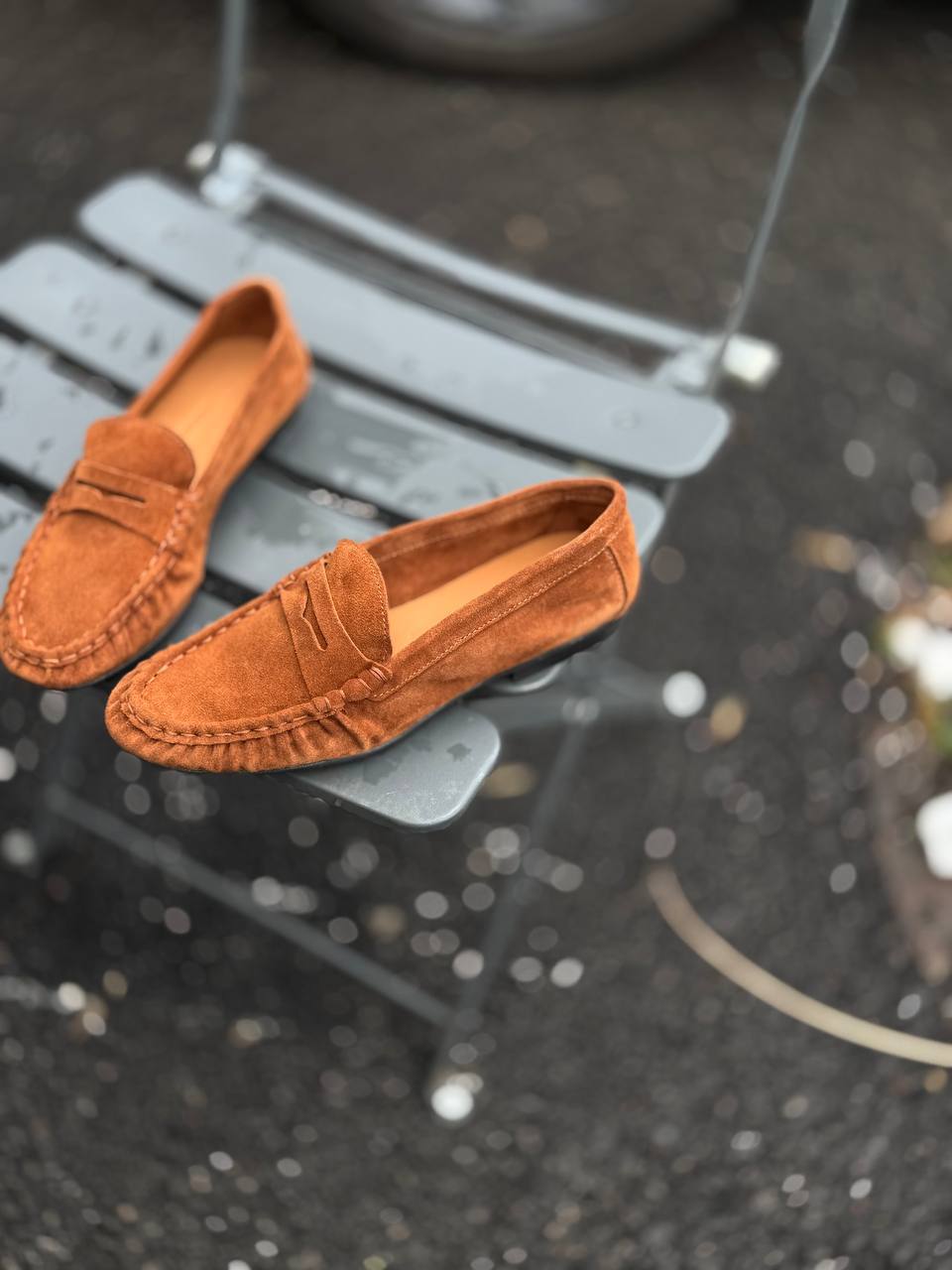 Фото Federica Lancioni