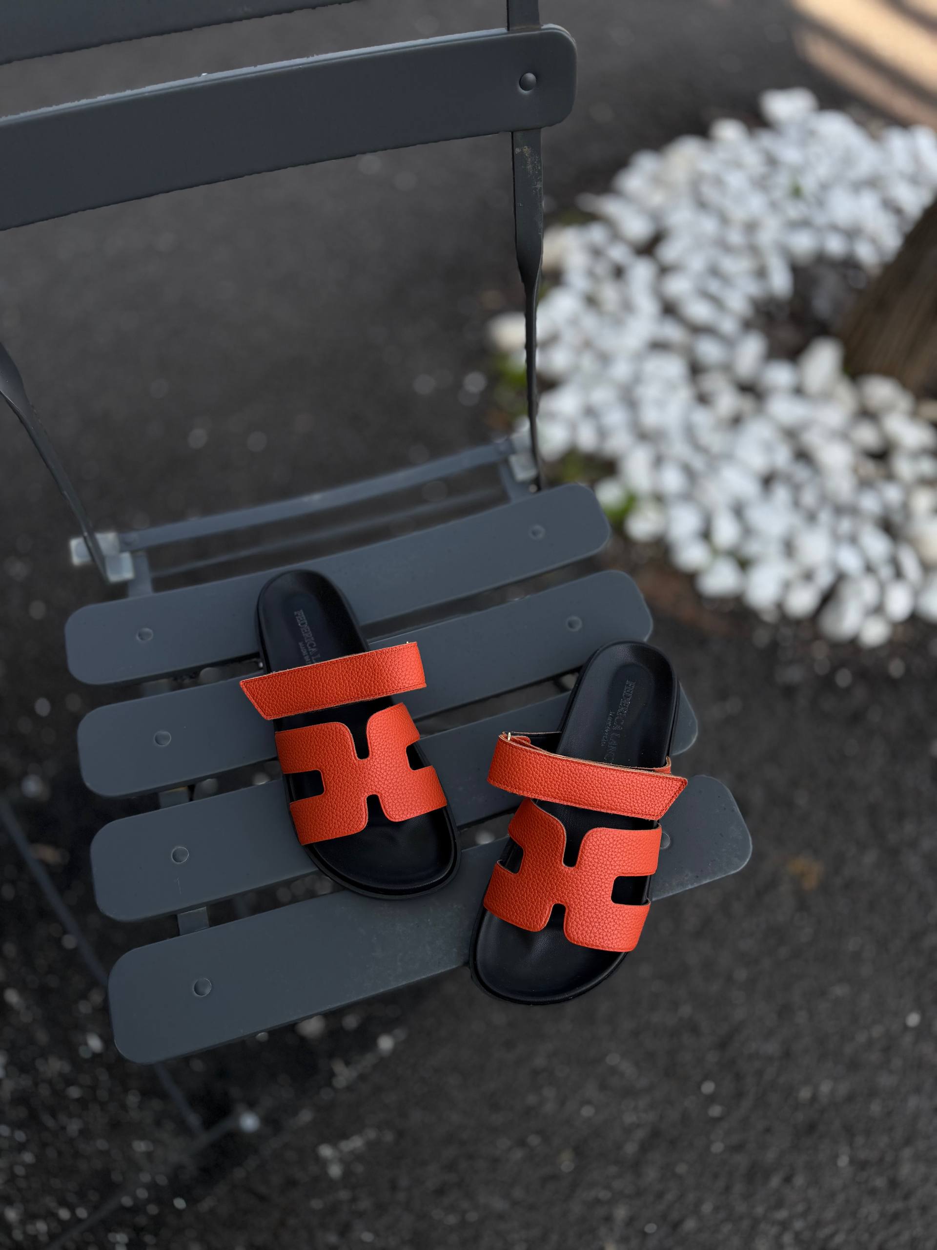 Фото Federica Lancioni