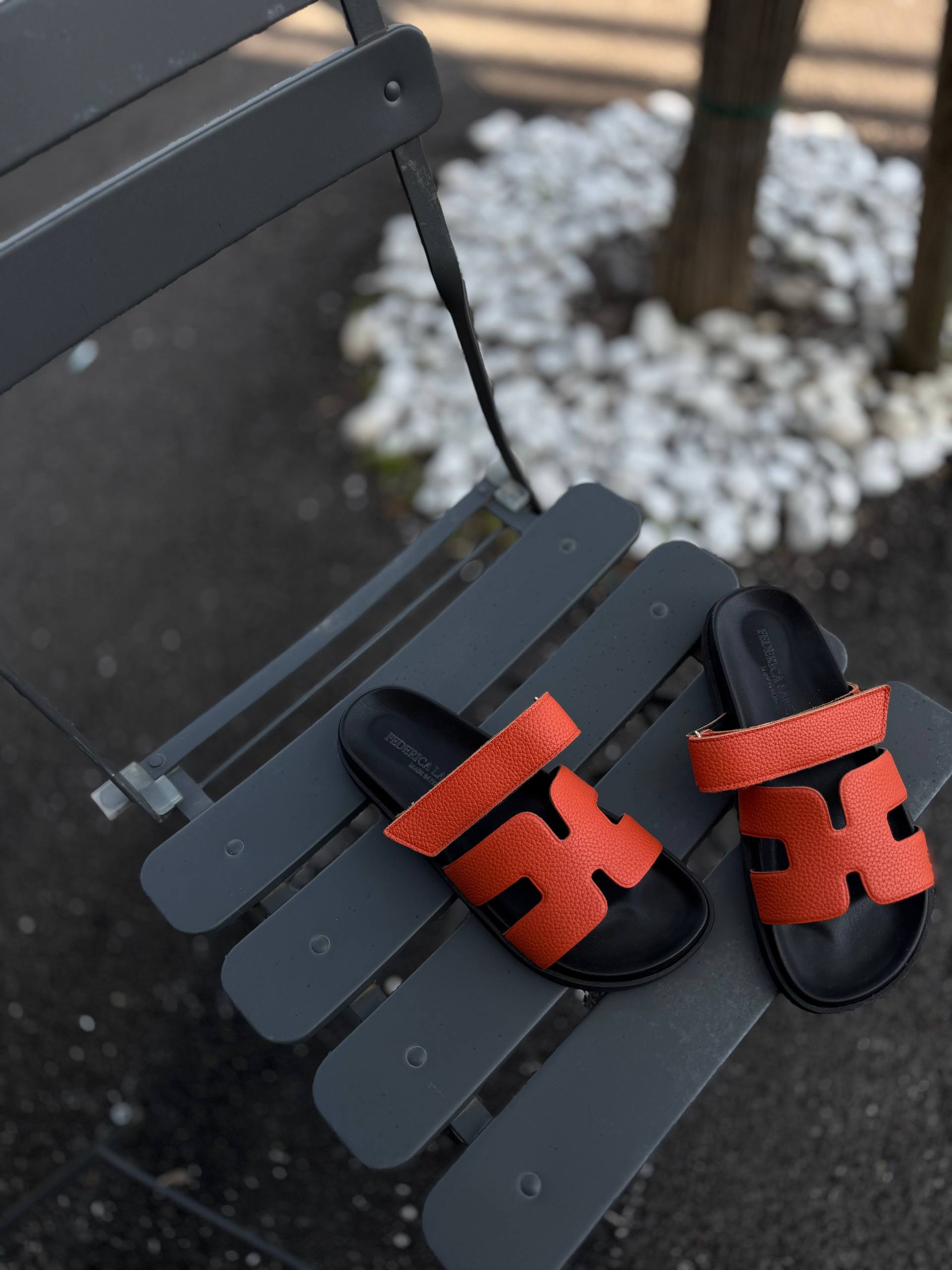 Фото Federica Lancioni