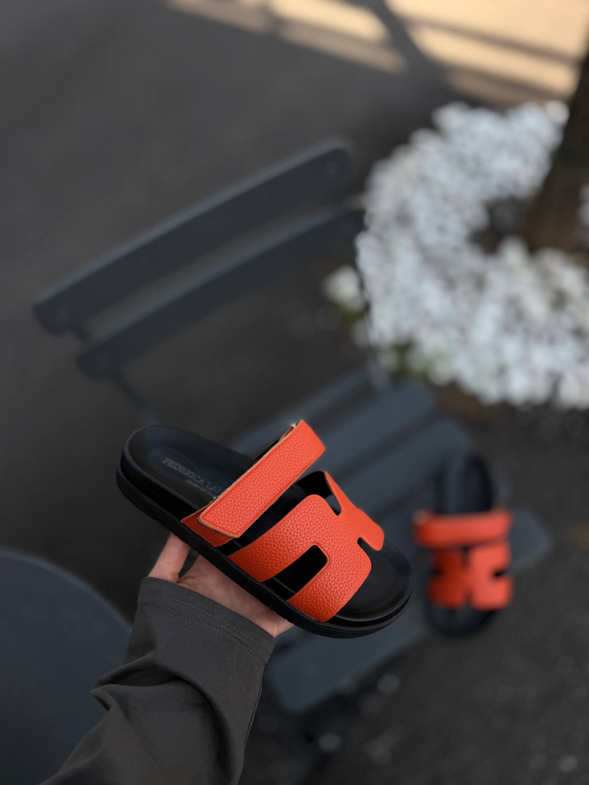 Фото Federica Lancioni