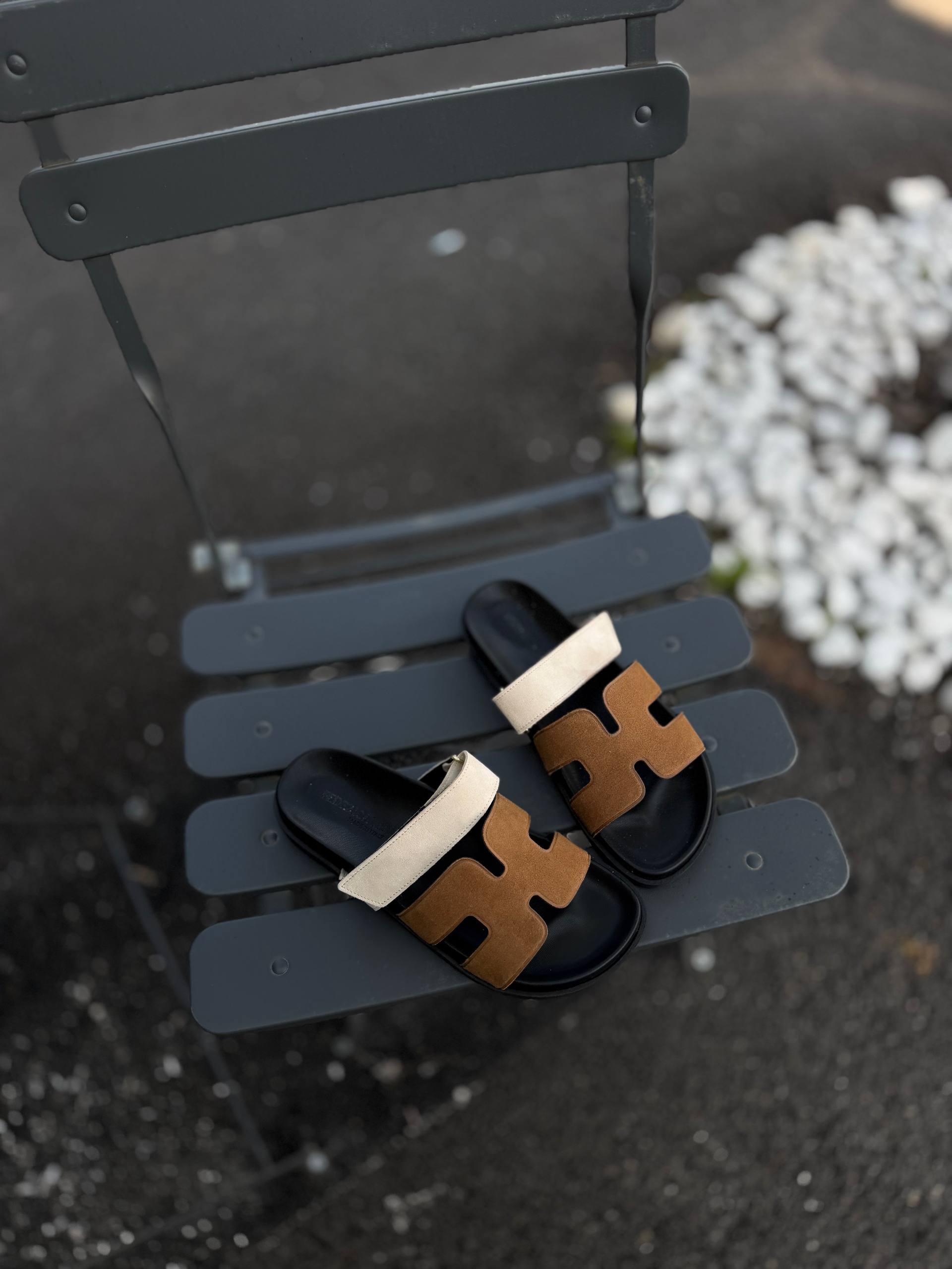 Фото Federica Lancioni