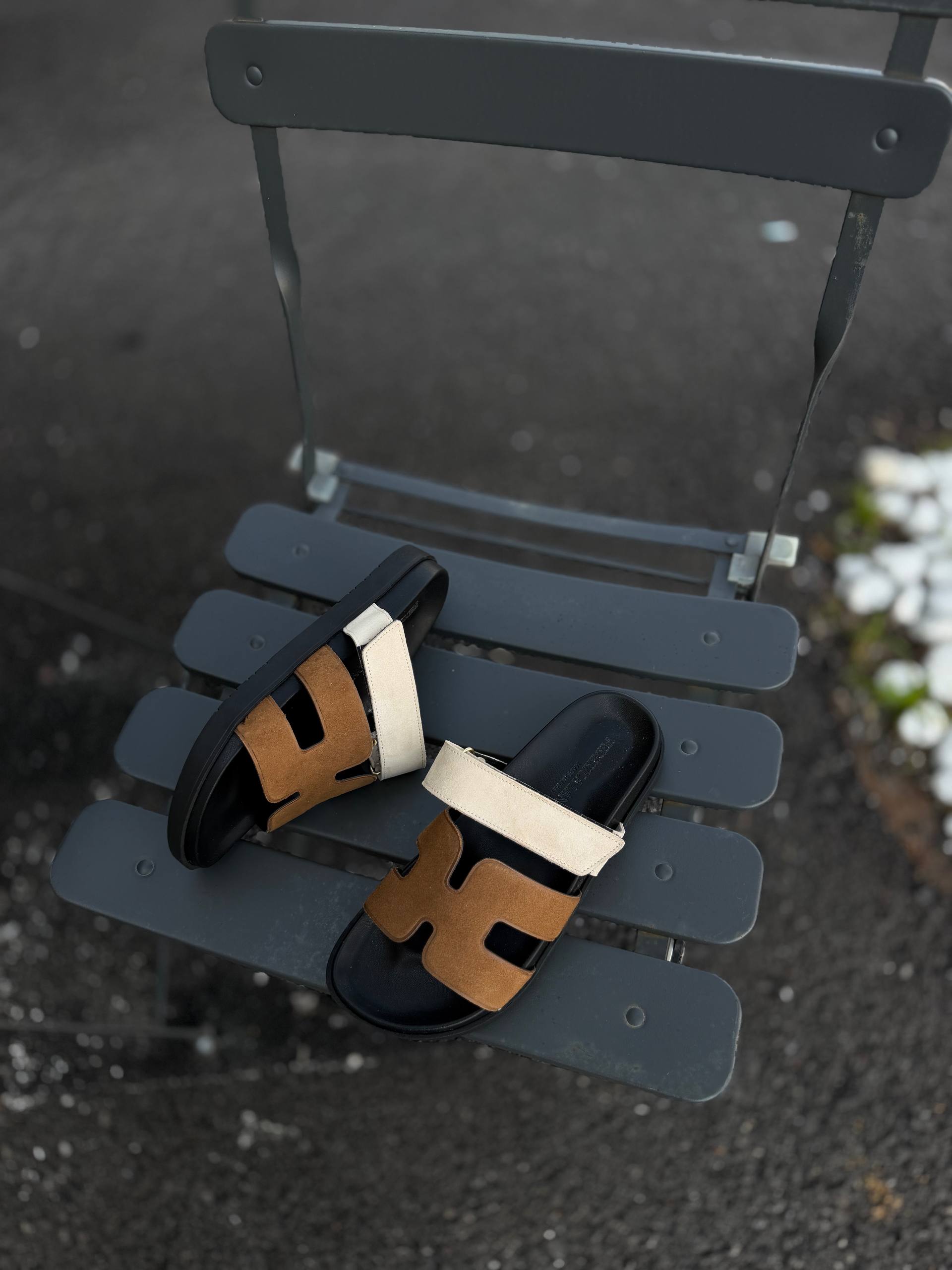 Фото Federica Lancioni