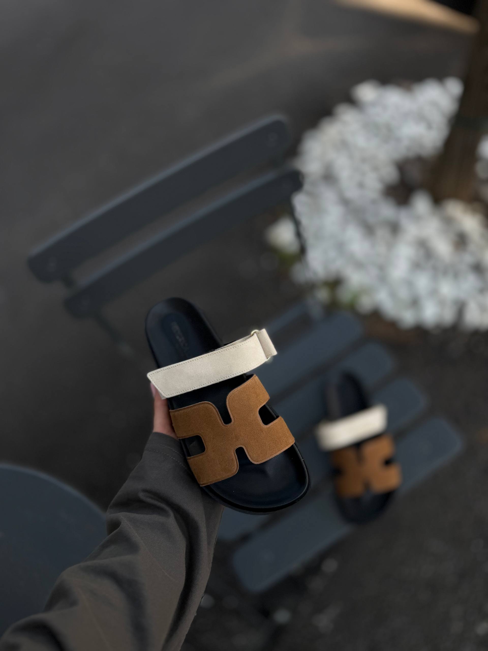 Фото Federica Lancioni