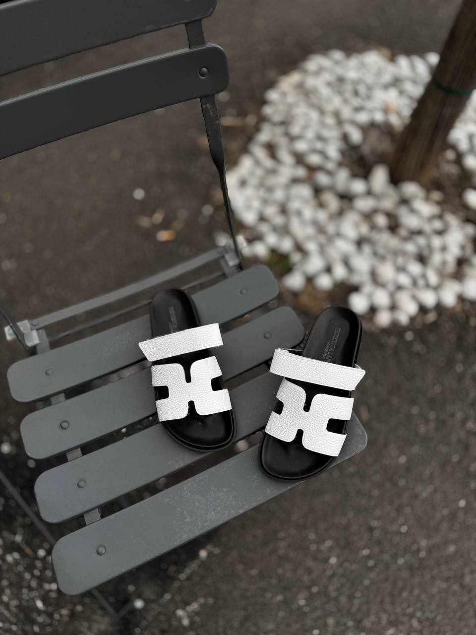 Фото Federica Lancioni