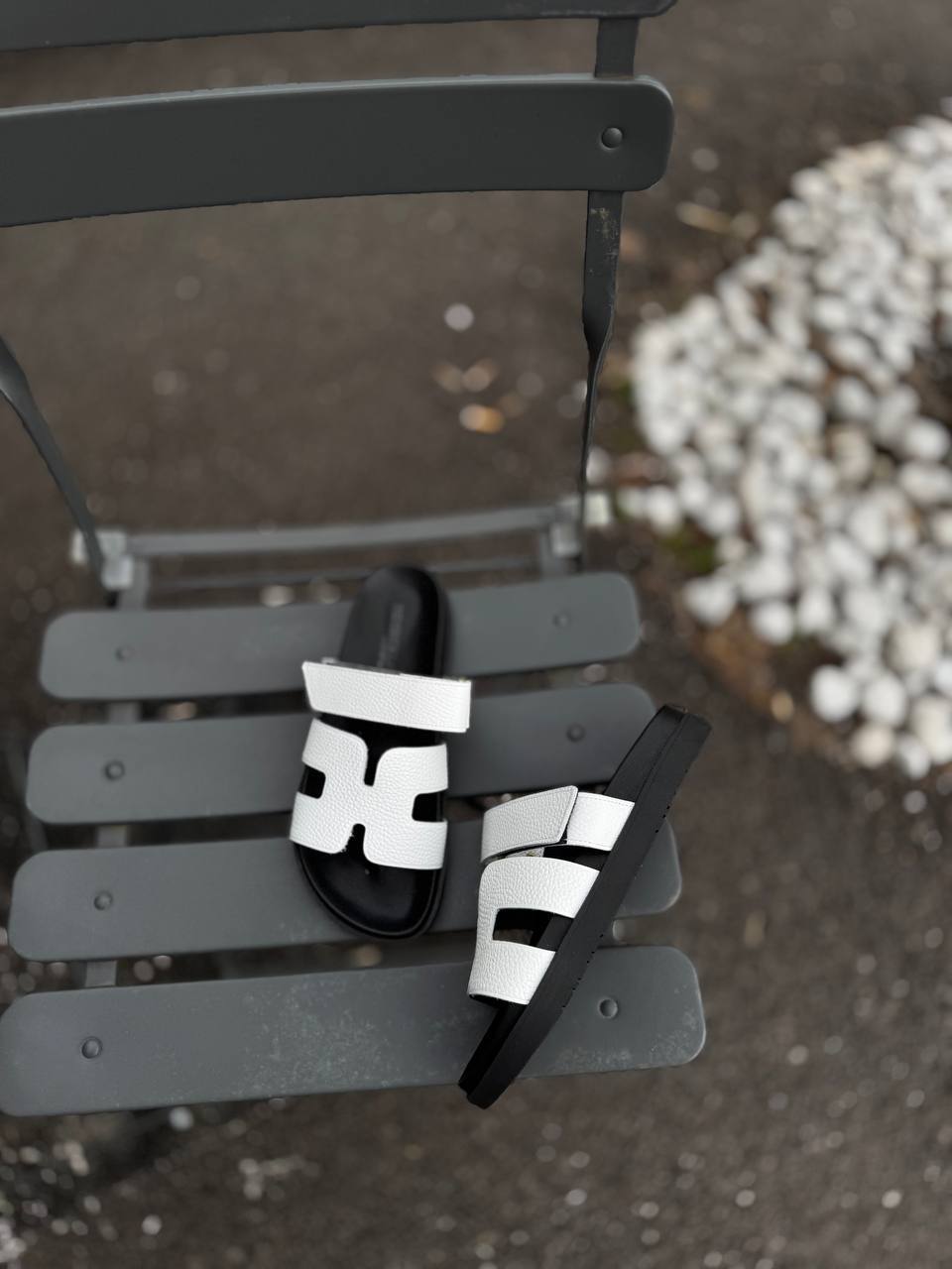 Фото Federica Lancioni