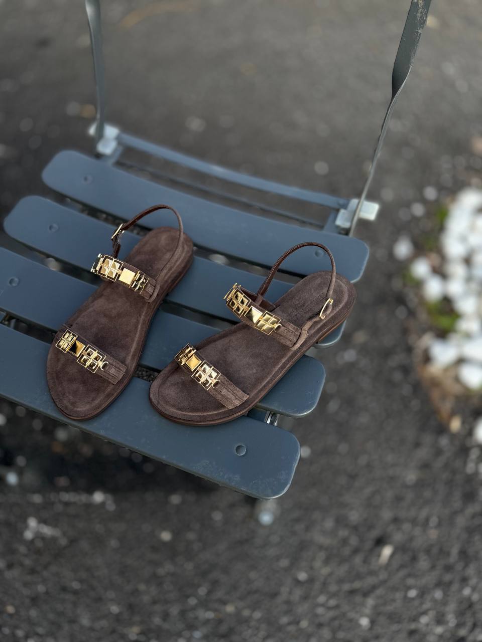 Фото Federica Lancioni