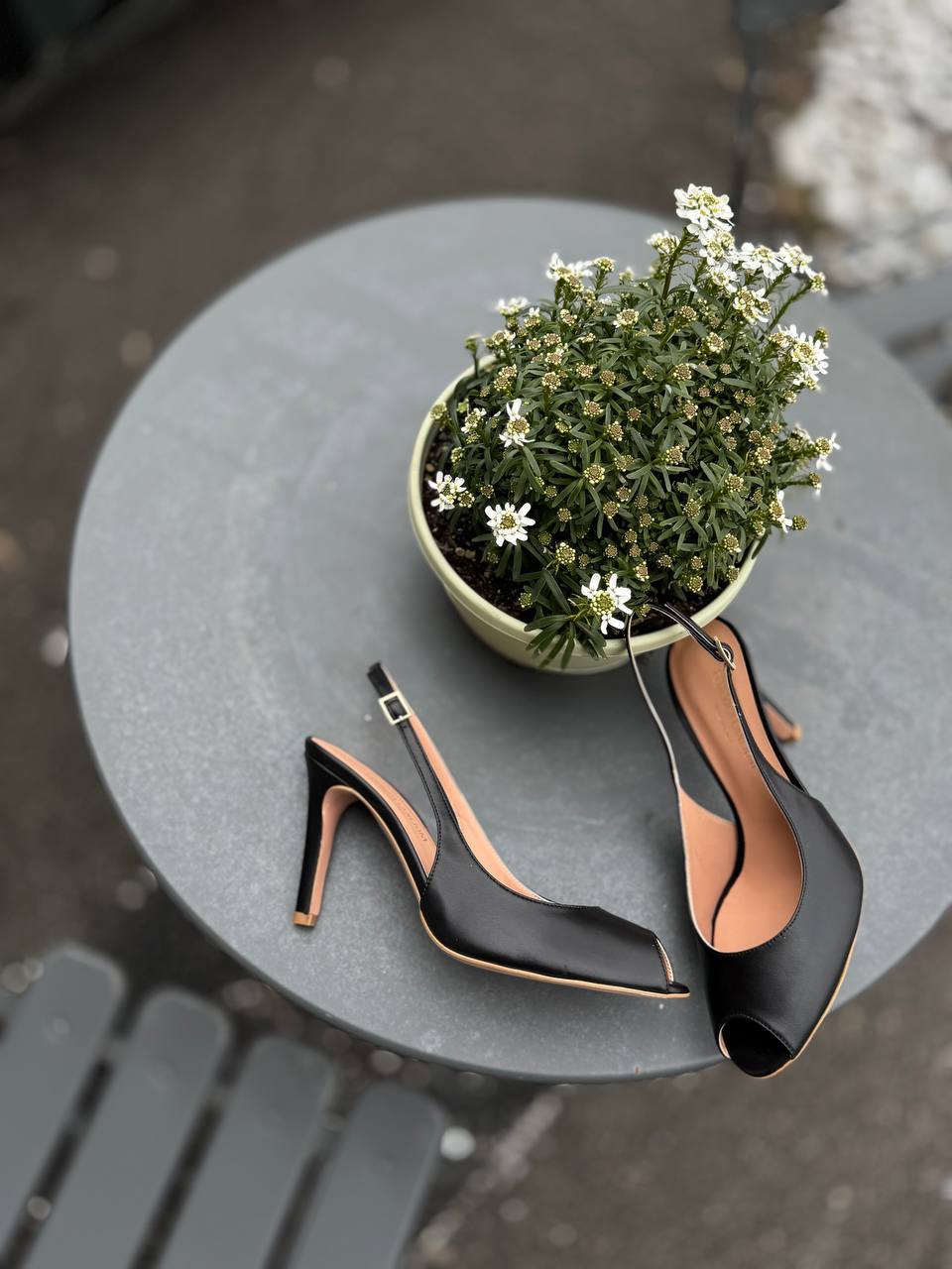 Фото Federica Lancioni