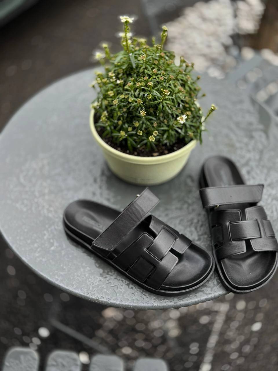 Фото Federica Lancioni