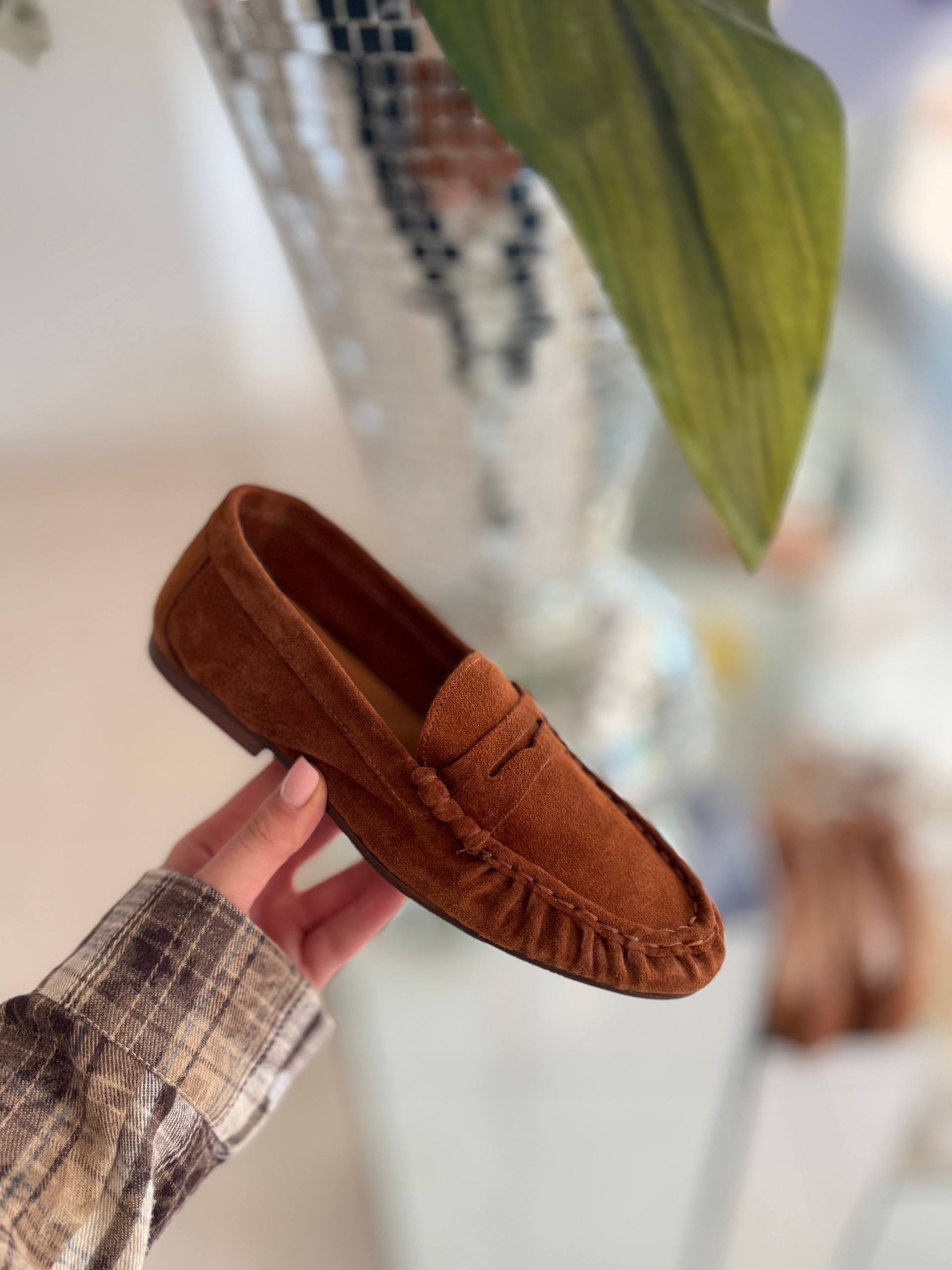 Фото Federica Lancioni