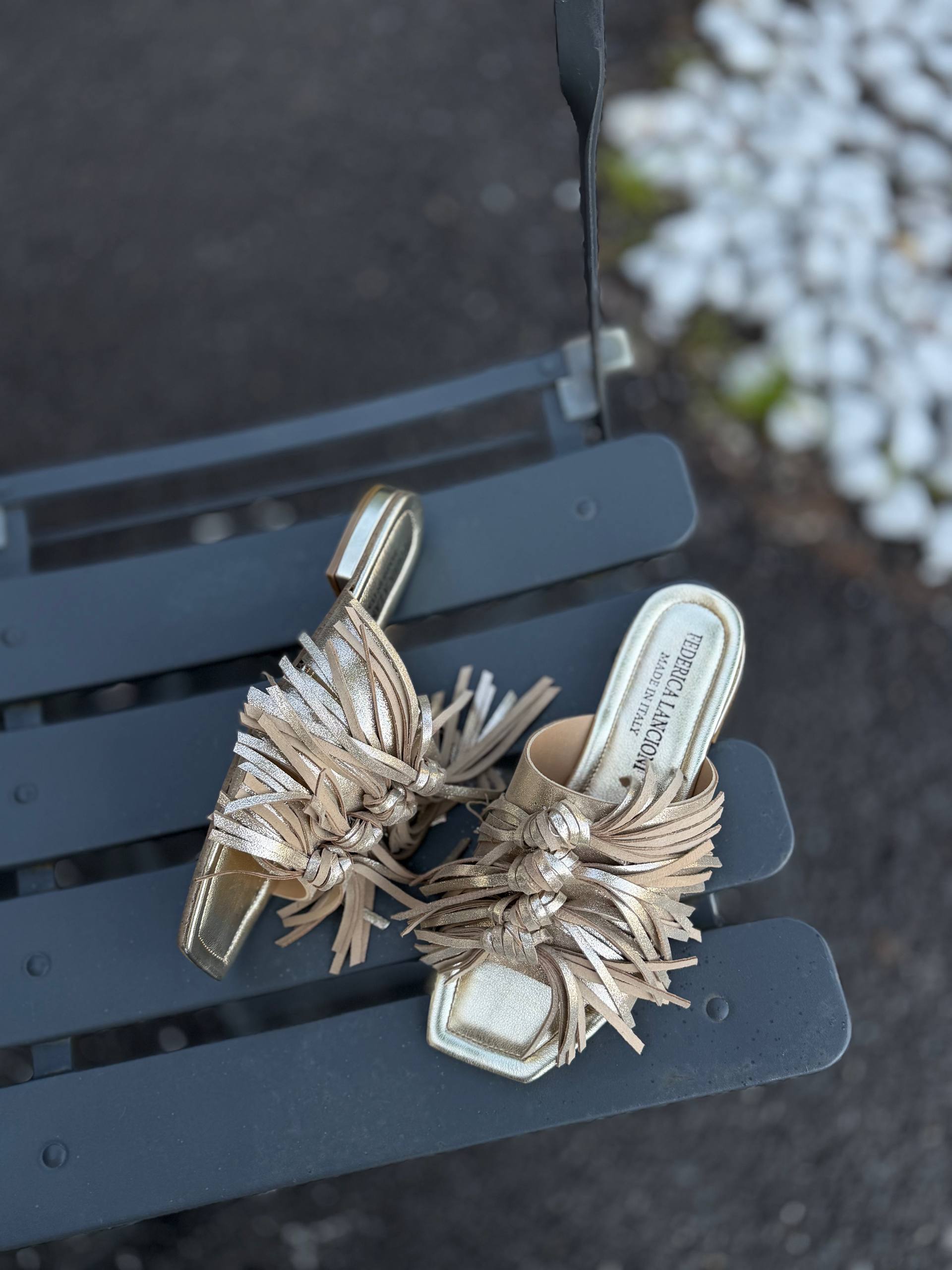 Фото Federica Lancioni