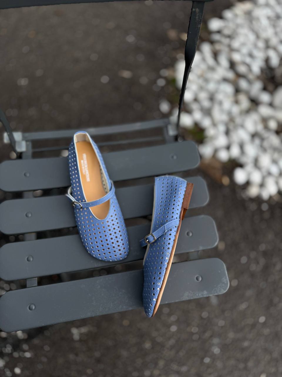 Фото Federica Lancioni