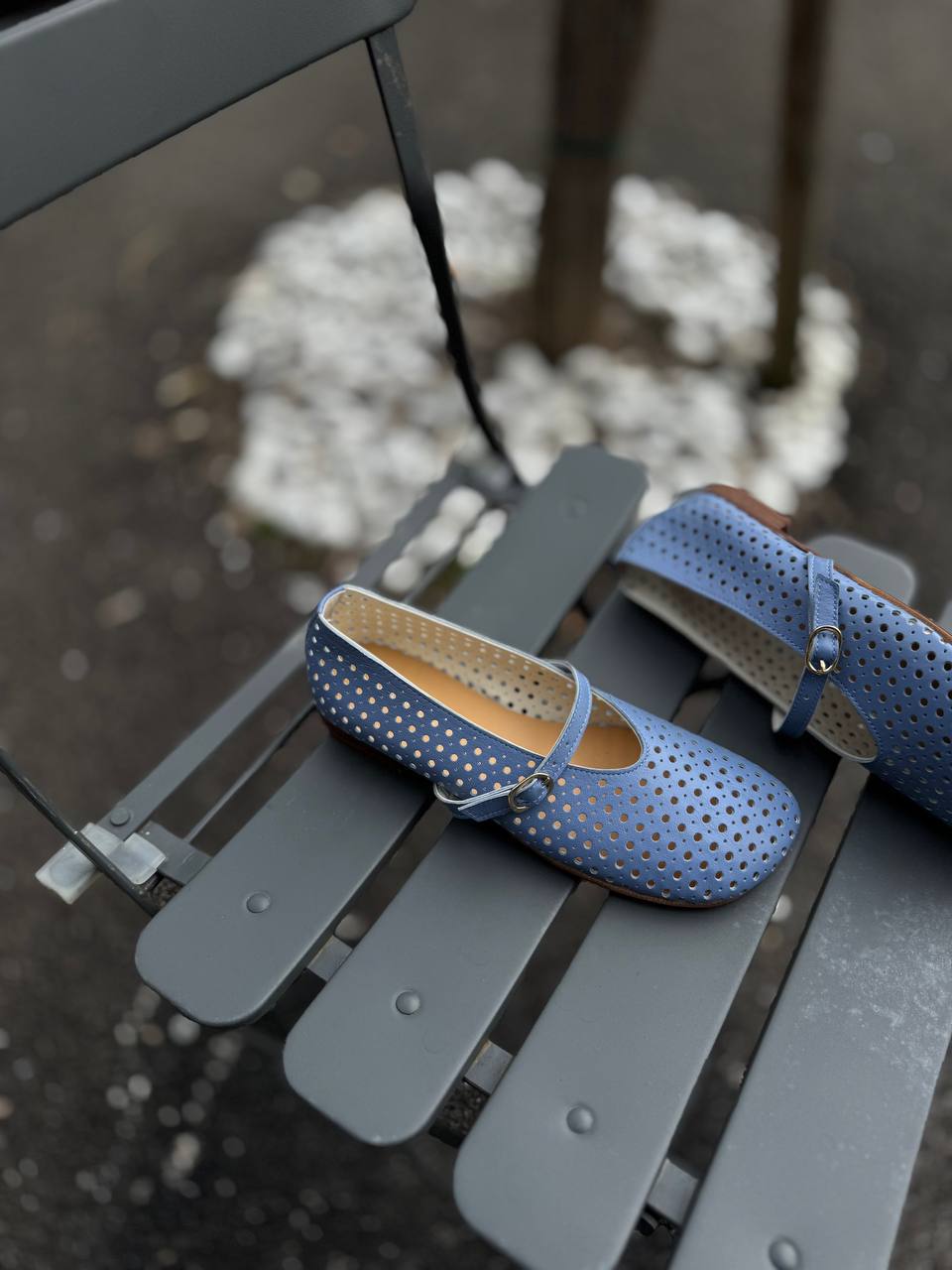 Фото Federica Lancioni