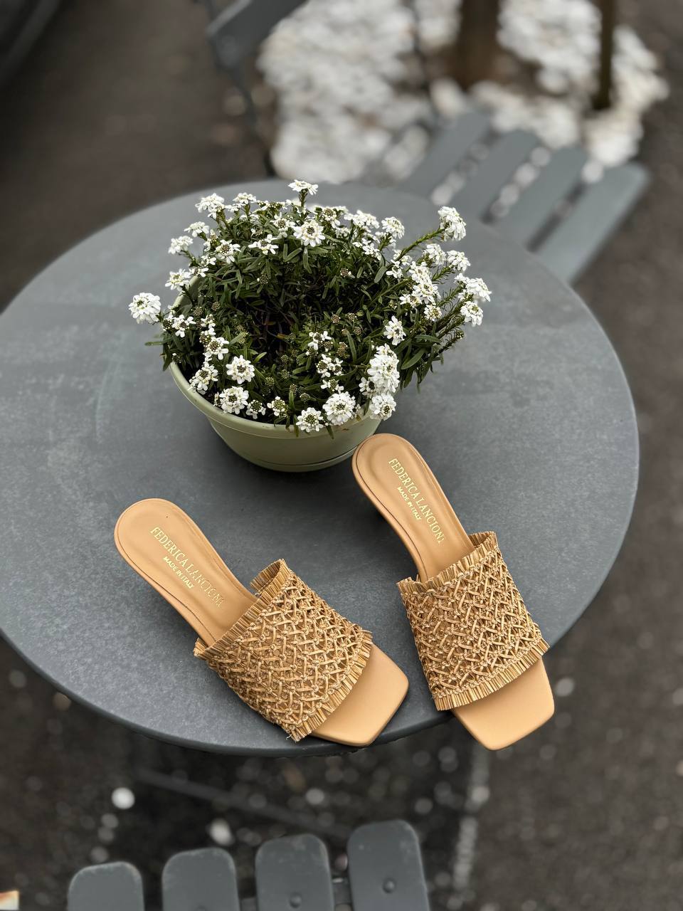 Фото Federica Lancioni