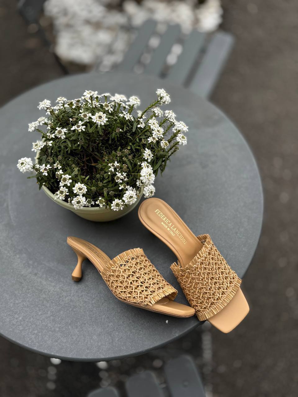 Фото Federica Lancioni