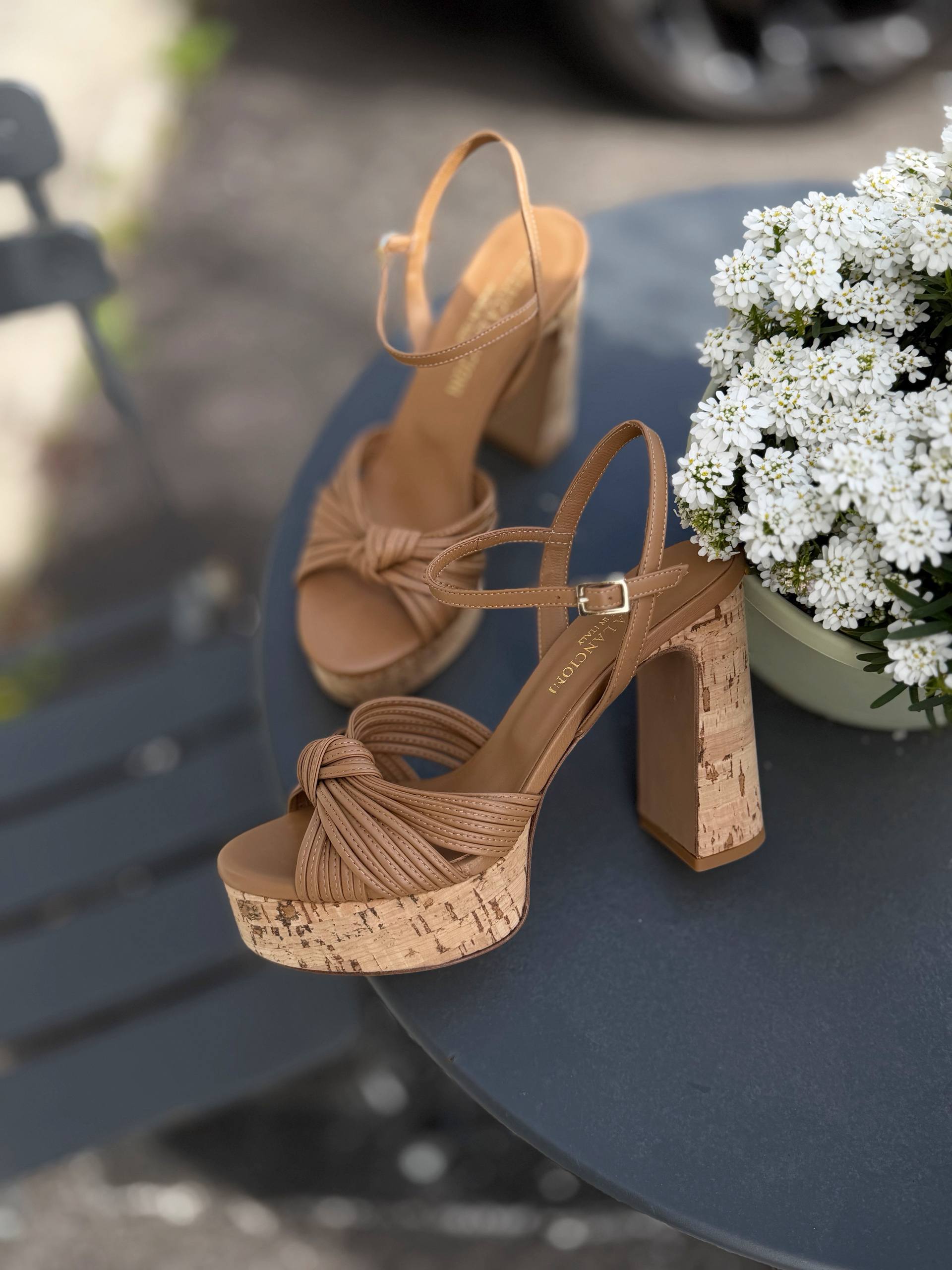 Фото Federica Lancioni