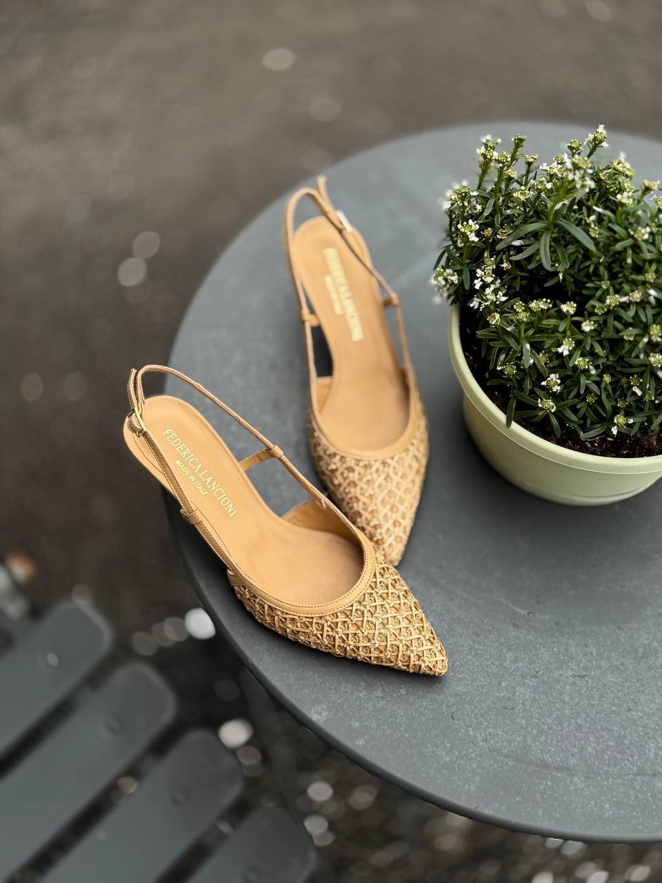 Фото Federica Lancioni