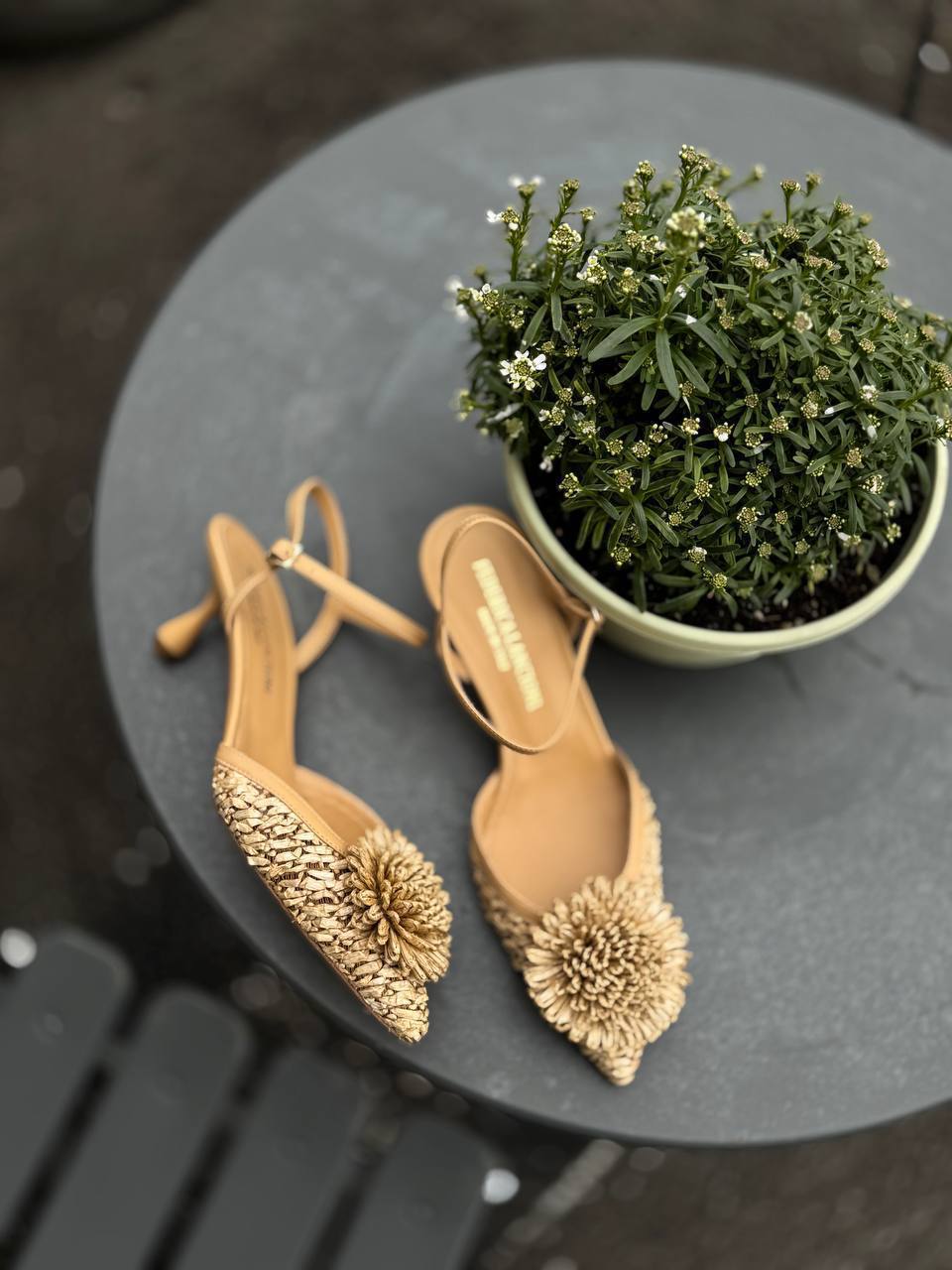 Фото Federica Lancioni