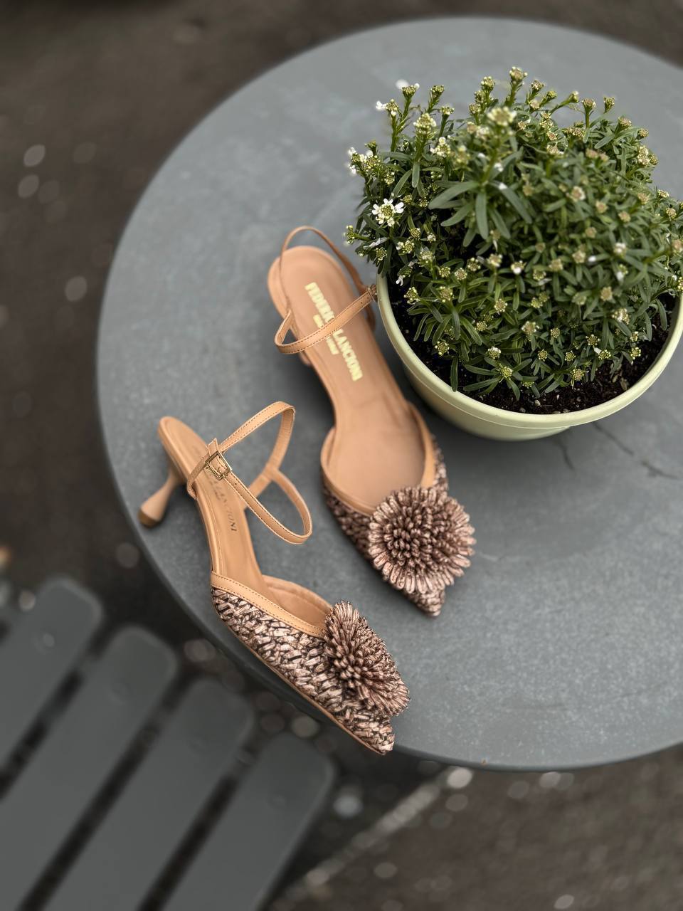 Фото Federica Lancioni