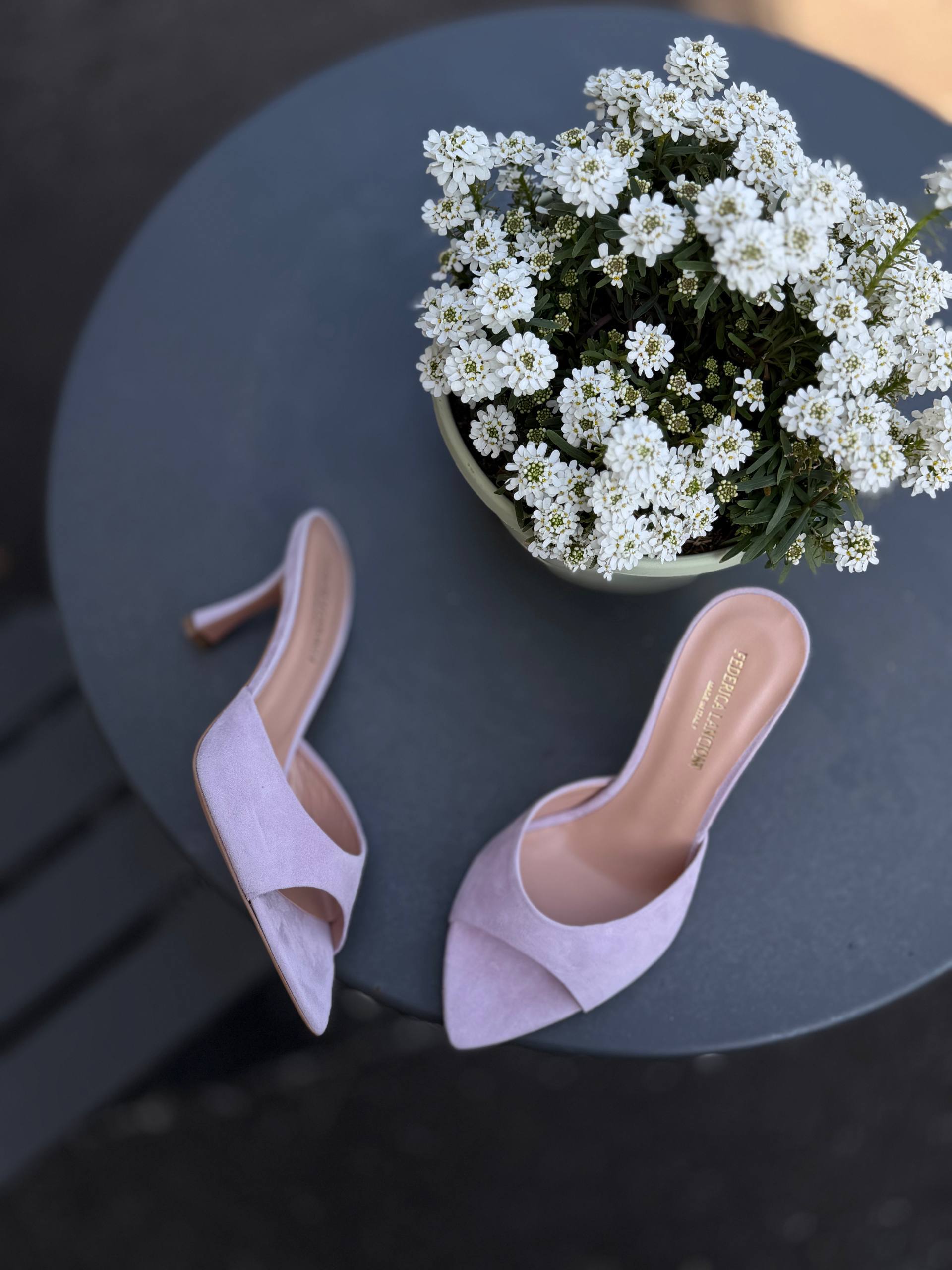 Фото Federica Lancioni