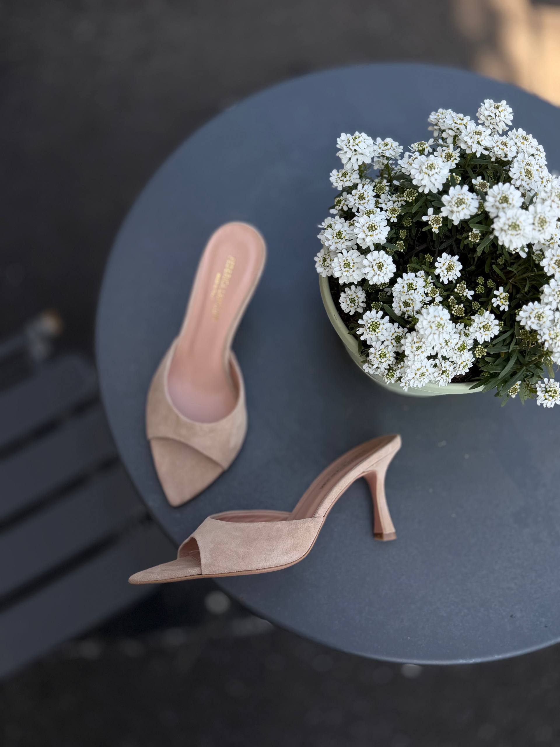 Фото Federica Lancioni