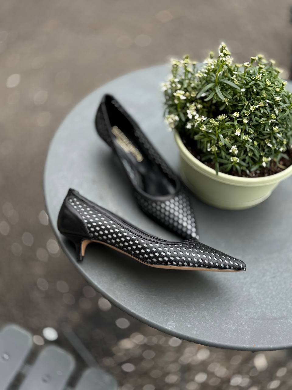 Фото Federica Lancioni