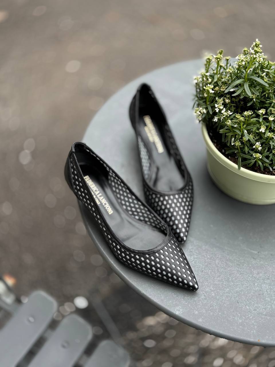 Фото Federica Lancioni