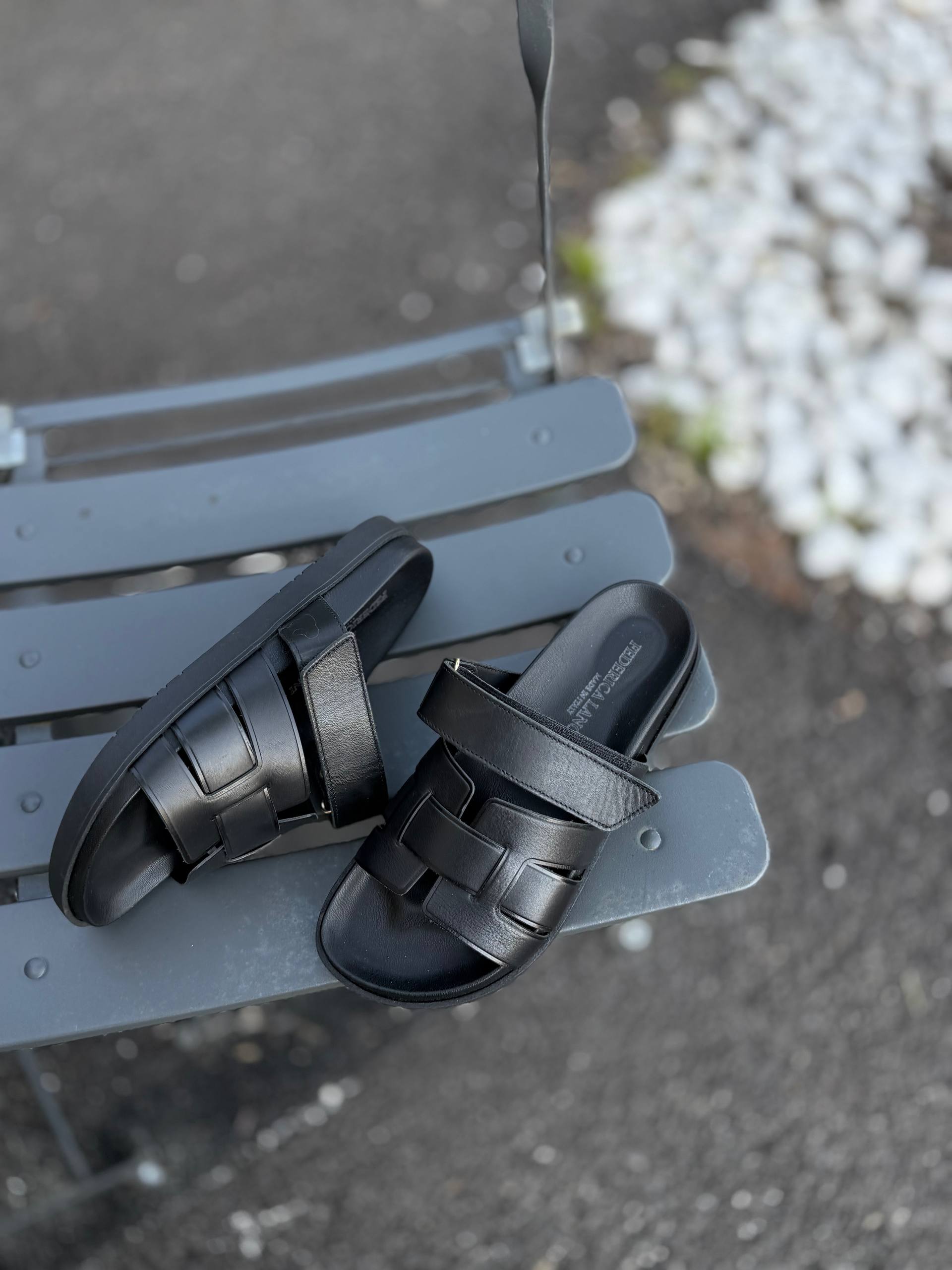 Фото Federica Lancioni