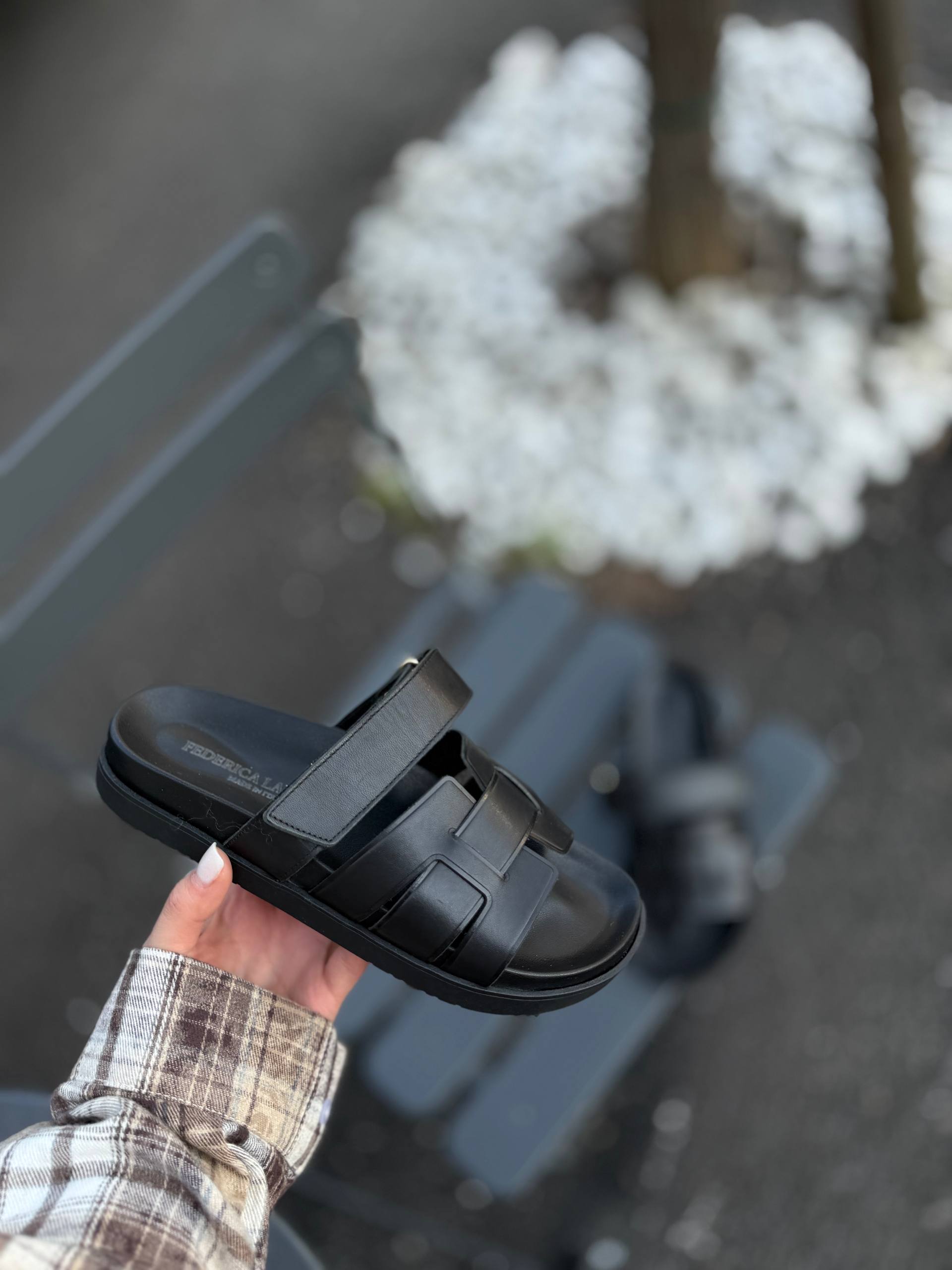 Фото Federica Lancioni