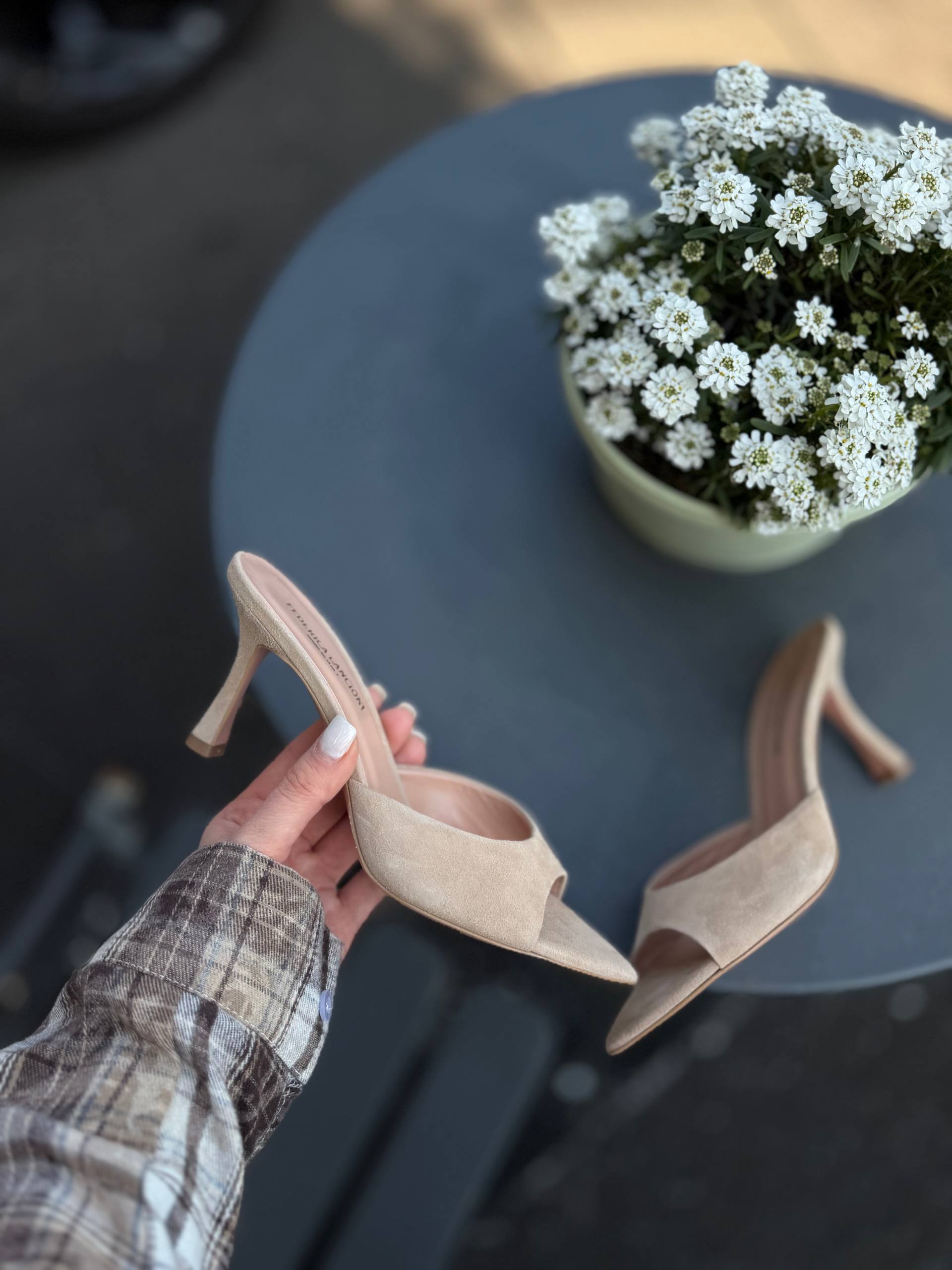 Фото Federica Lancioni