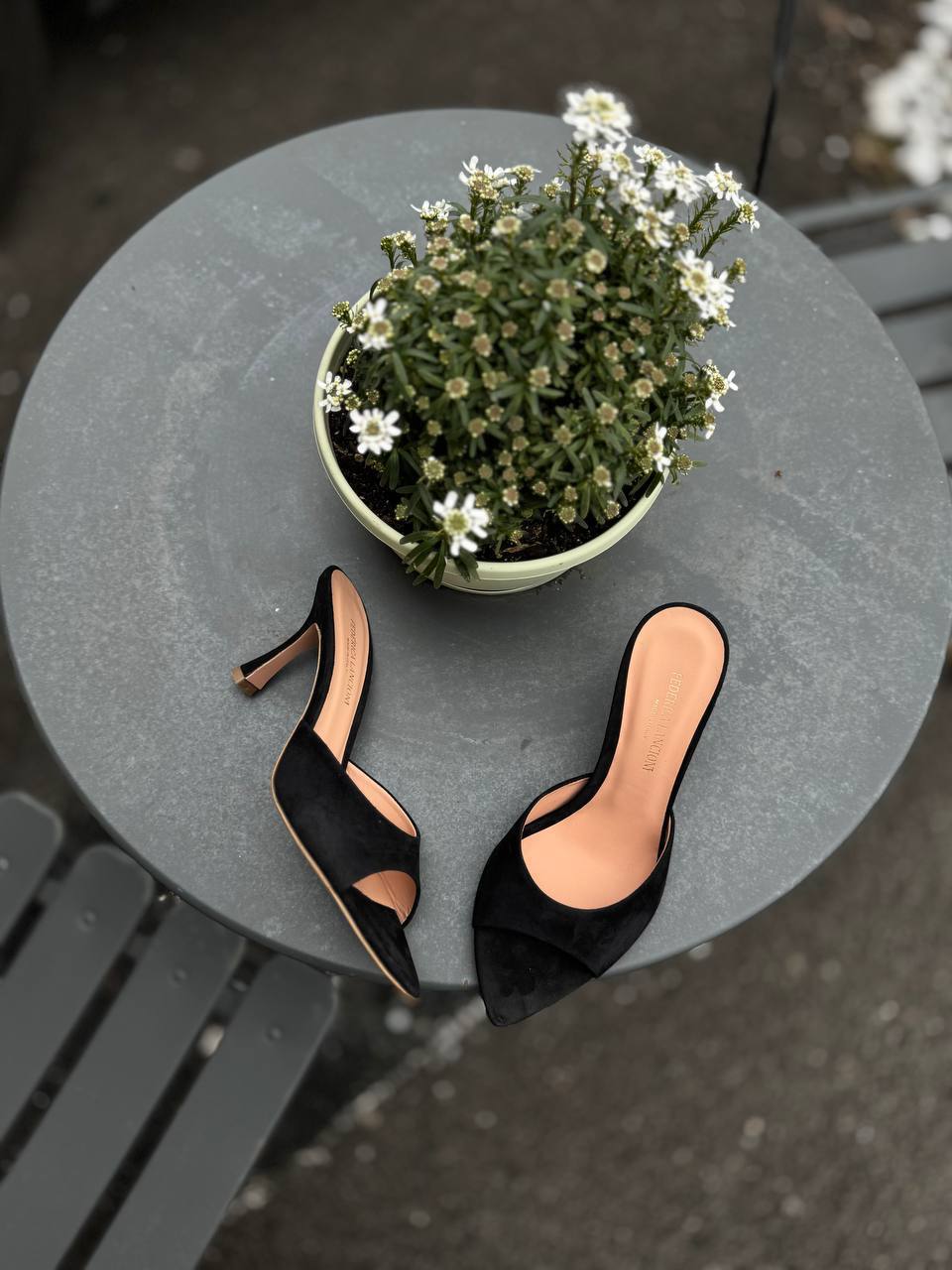 Фото Federica Lancioni