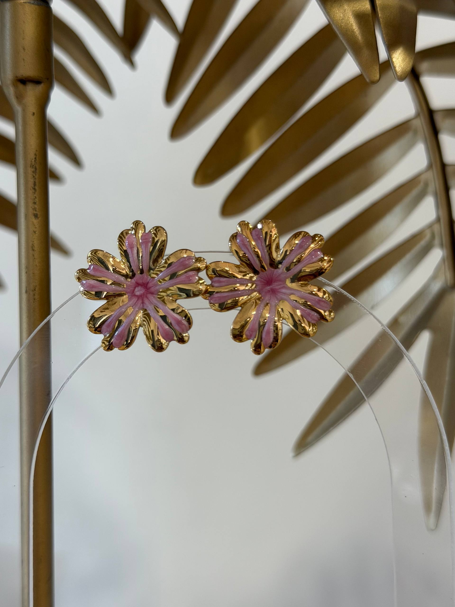 Фото Derwix